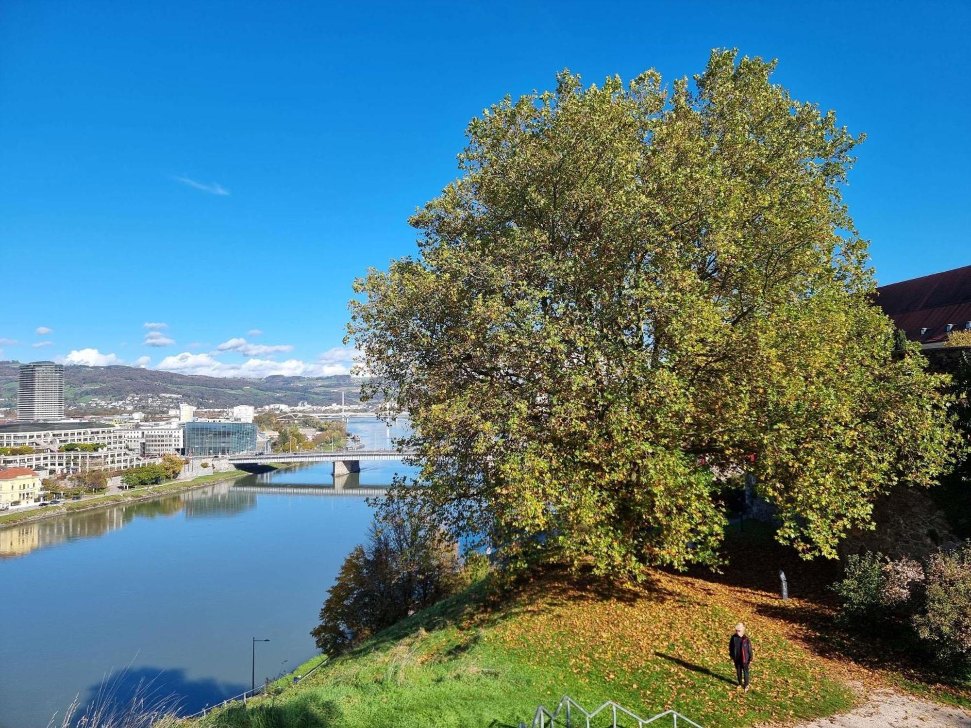 Ibis Styles Hotel Linz